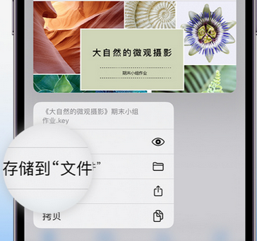 玉泉apple维修中心分享iPhone文件应用中存储和找到下载文件