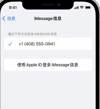 玉泉apple维修iPhone上无法正常发送iMessage信息 