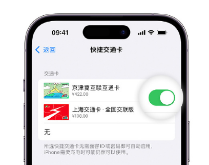 玉泉apple维修点分享iPhone上更换Apple Pay快捷交通卡手绘卡面 