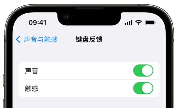 玉泉苹果手机维修分享iPhone 14触感键盘使用方法 