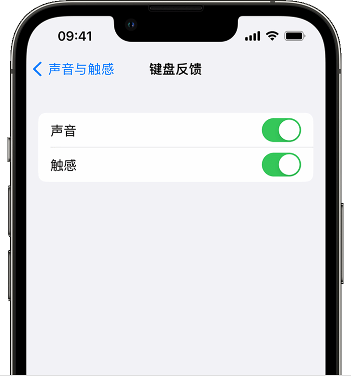 玉泉苹果14维修店分享如何在 iPhone 14 机型中使用触感键盘 