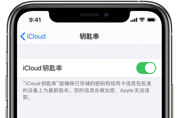 玉泉苹果手机维修分享在 iPhone 上开启 iCloud 钥匙串之后会储存哪些信息 